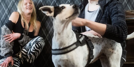 Man and woman enjoying time with a spotted dog in a room with patterned wallpaper