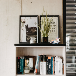 Ein Bücherregal mit einer Vielzahl von Büchern und Dekorationsartikeln, einschließlich gerahmter Bilder und einer Pflanze. | © Photo: Ilja Kagan, 2022